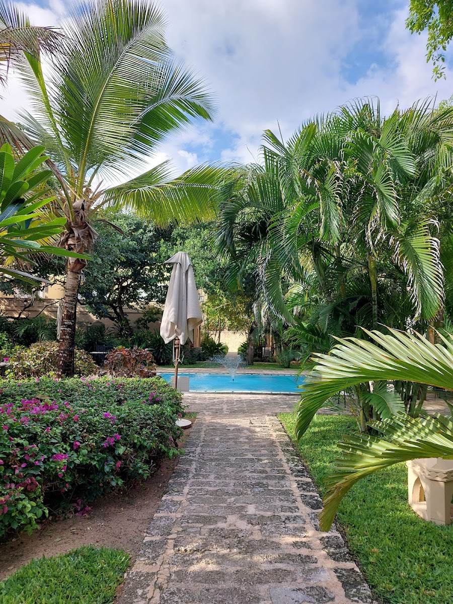 Slide Background Image